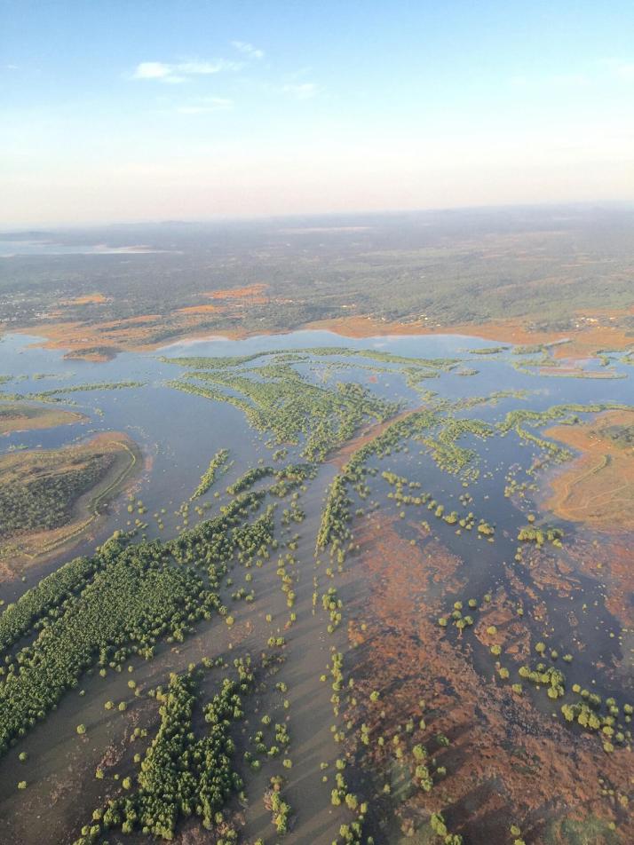 Photo courtesy of Jim Sheets